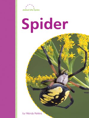cover image of Spider